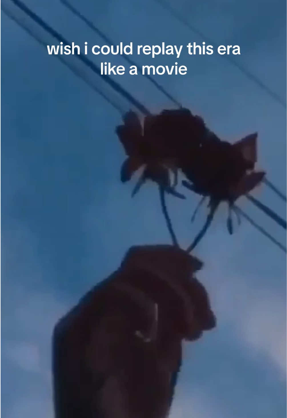 @IwishIwastheredude