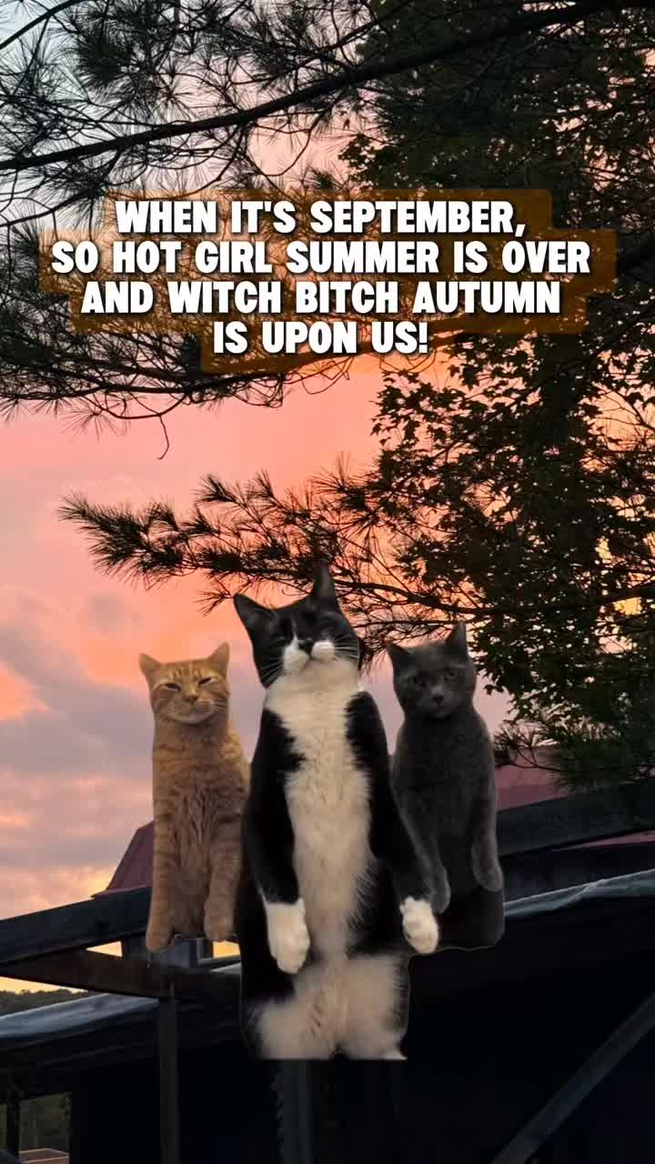 @🌒🌕🌘Witch, Please🔮Pilates