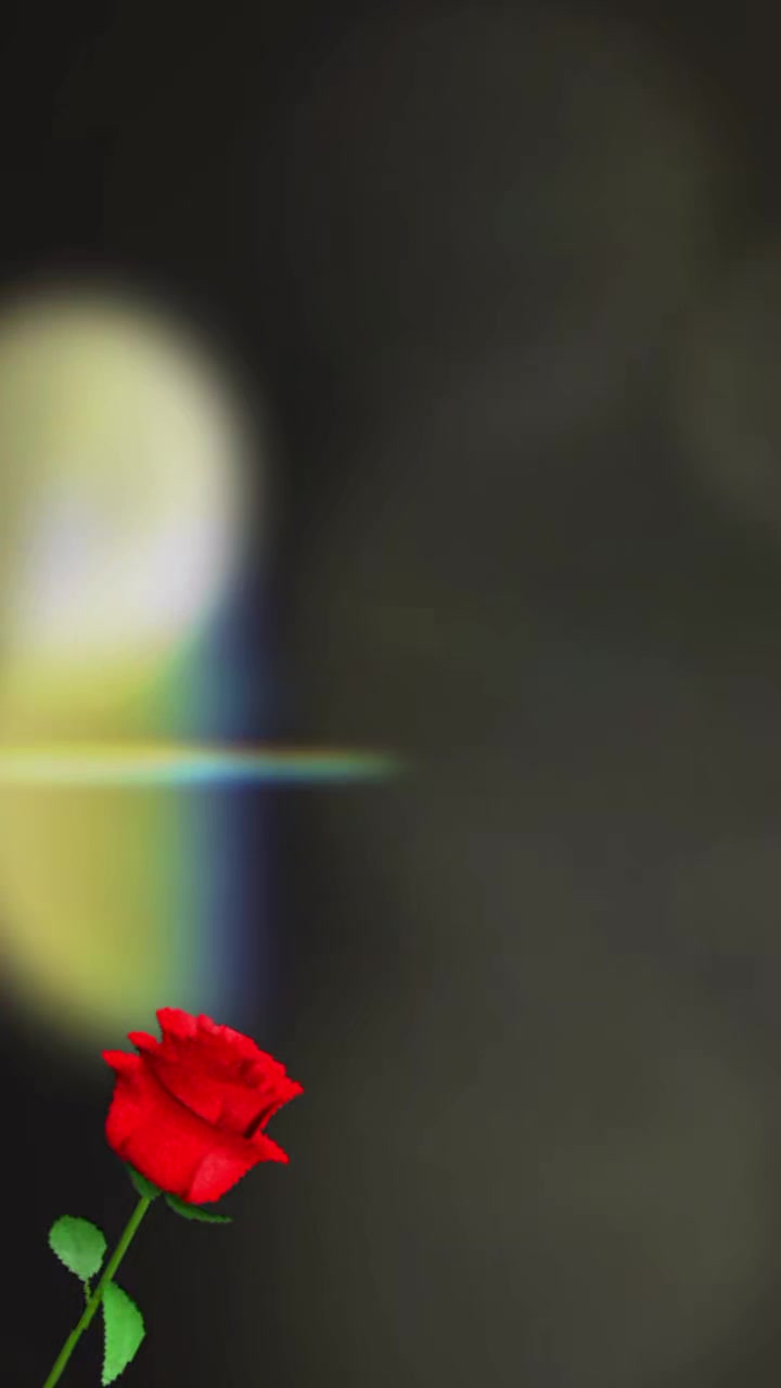 @hi