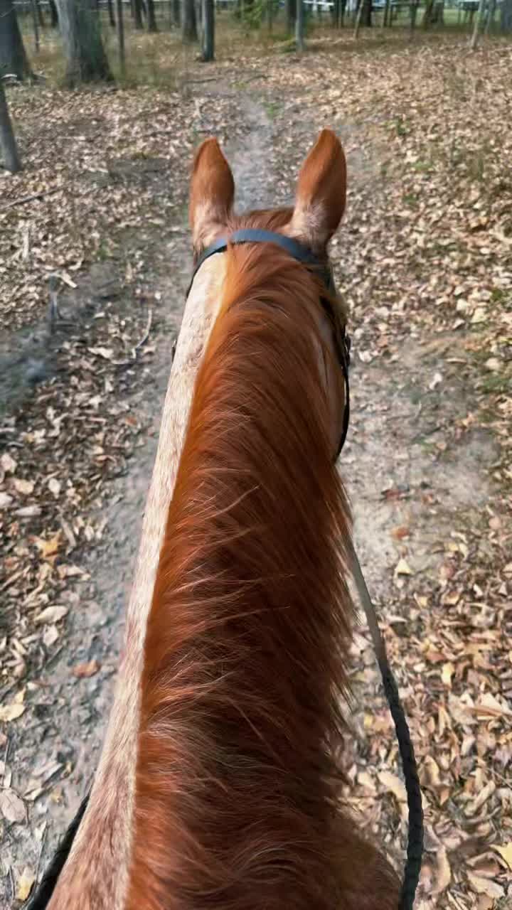 @Roeboat
