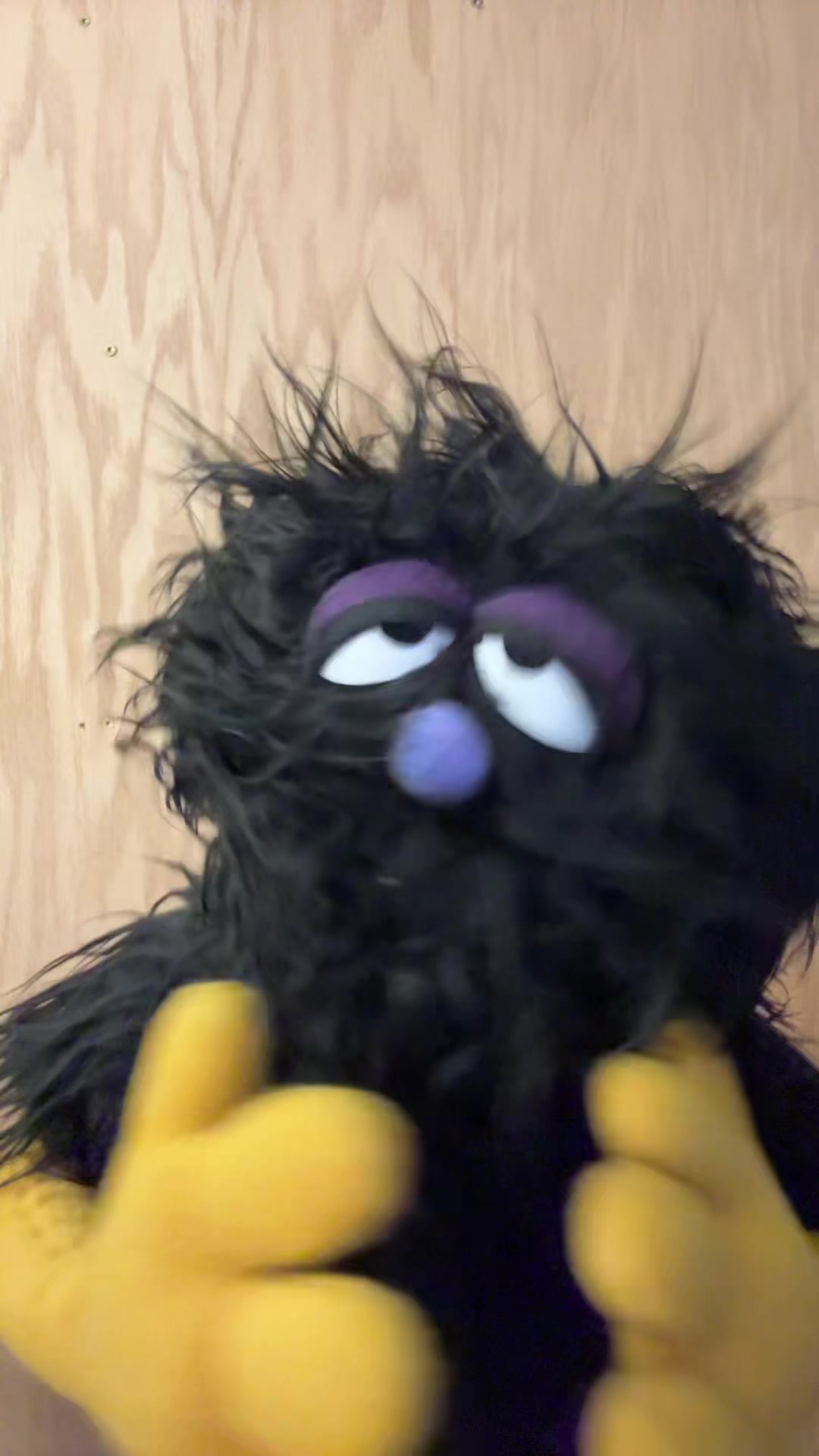 @Brooklyn Puppet Squad