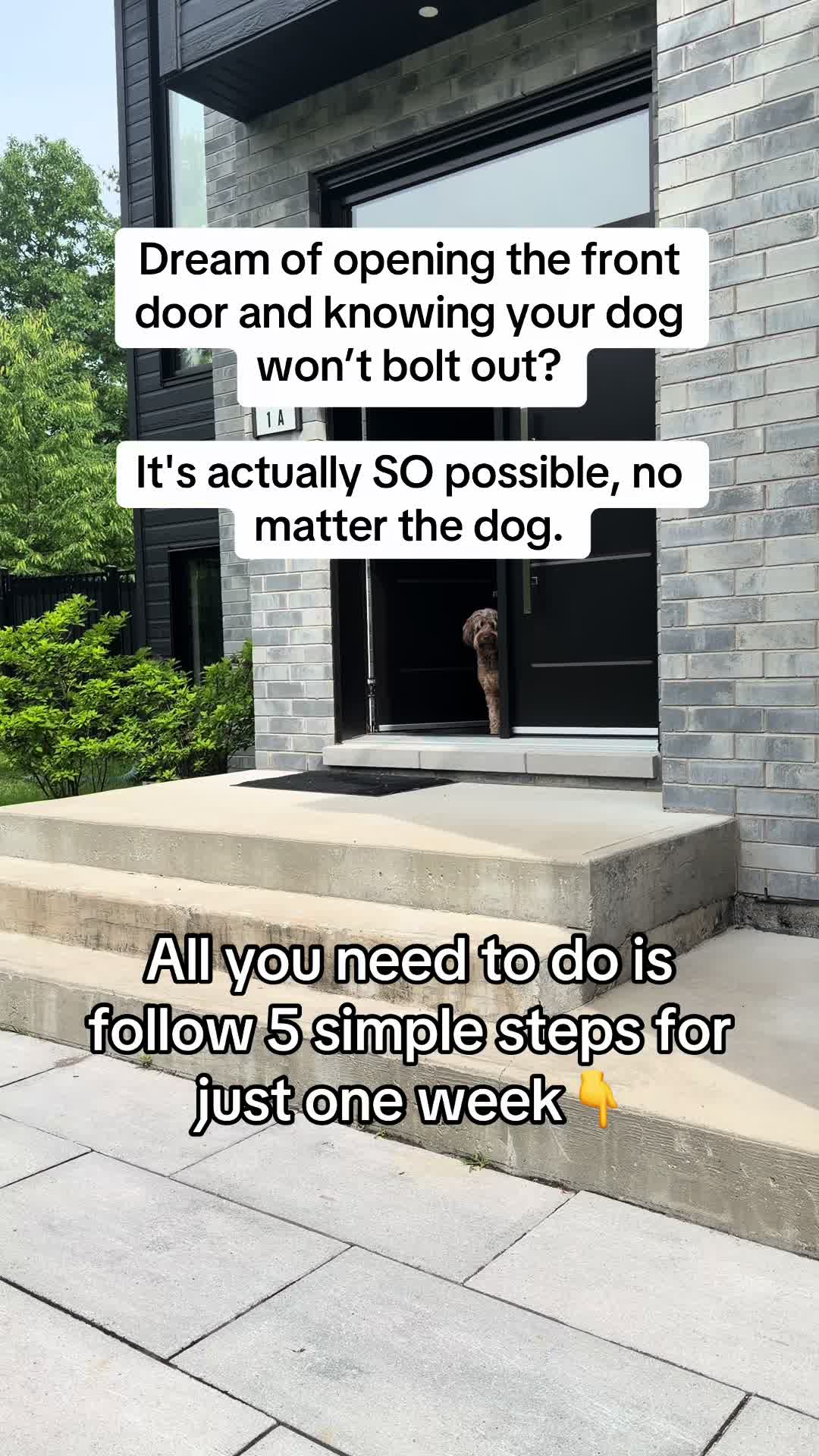@Dogs Made Simple