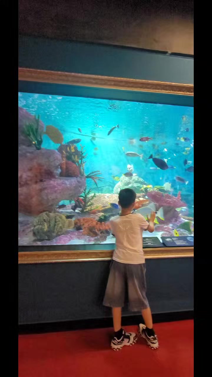 @soochoo💐🐬