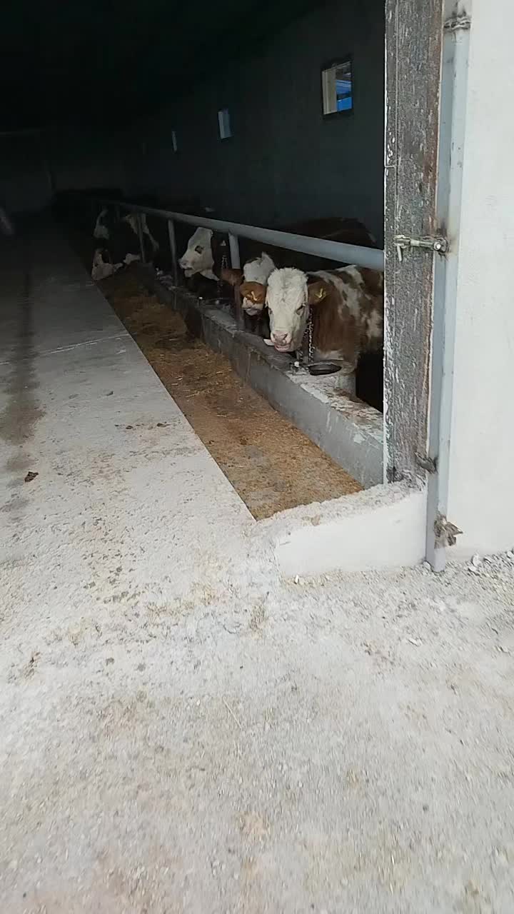 @Ali Çağlar