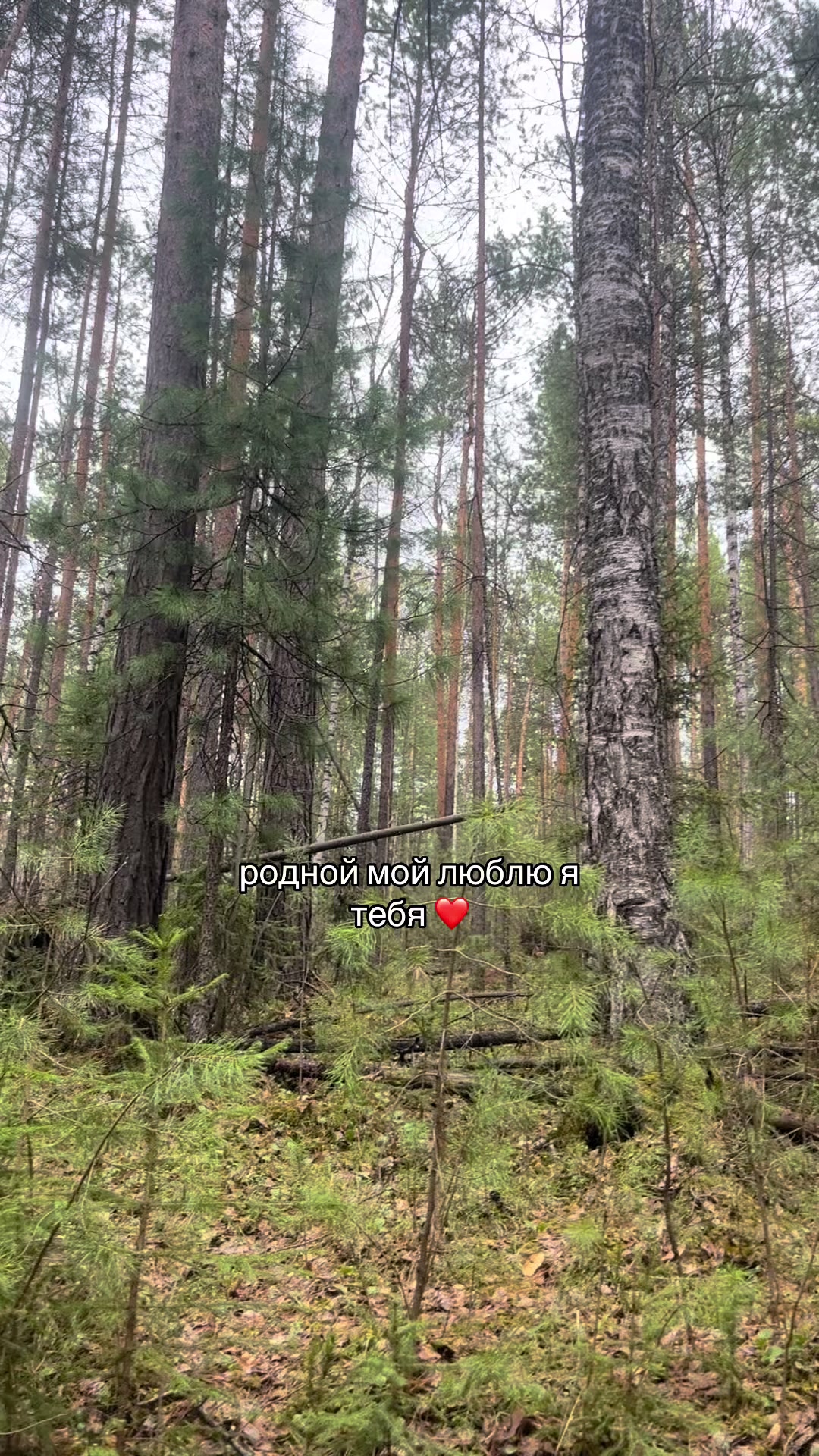 @𝑛𝑎𝑠𝑞𝑒𝑙𝑙..💋