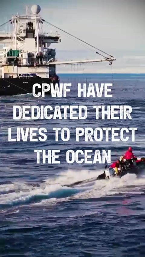 @Captain Paul Watson Foundation