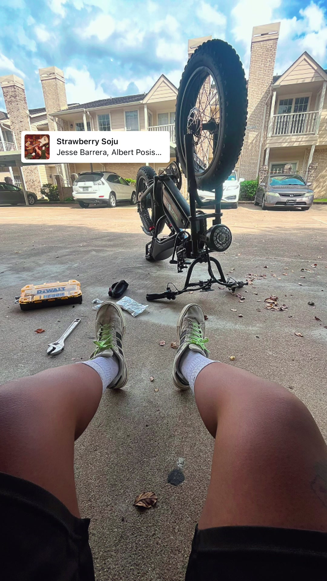 @scenebikelife_