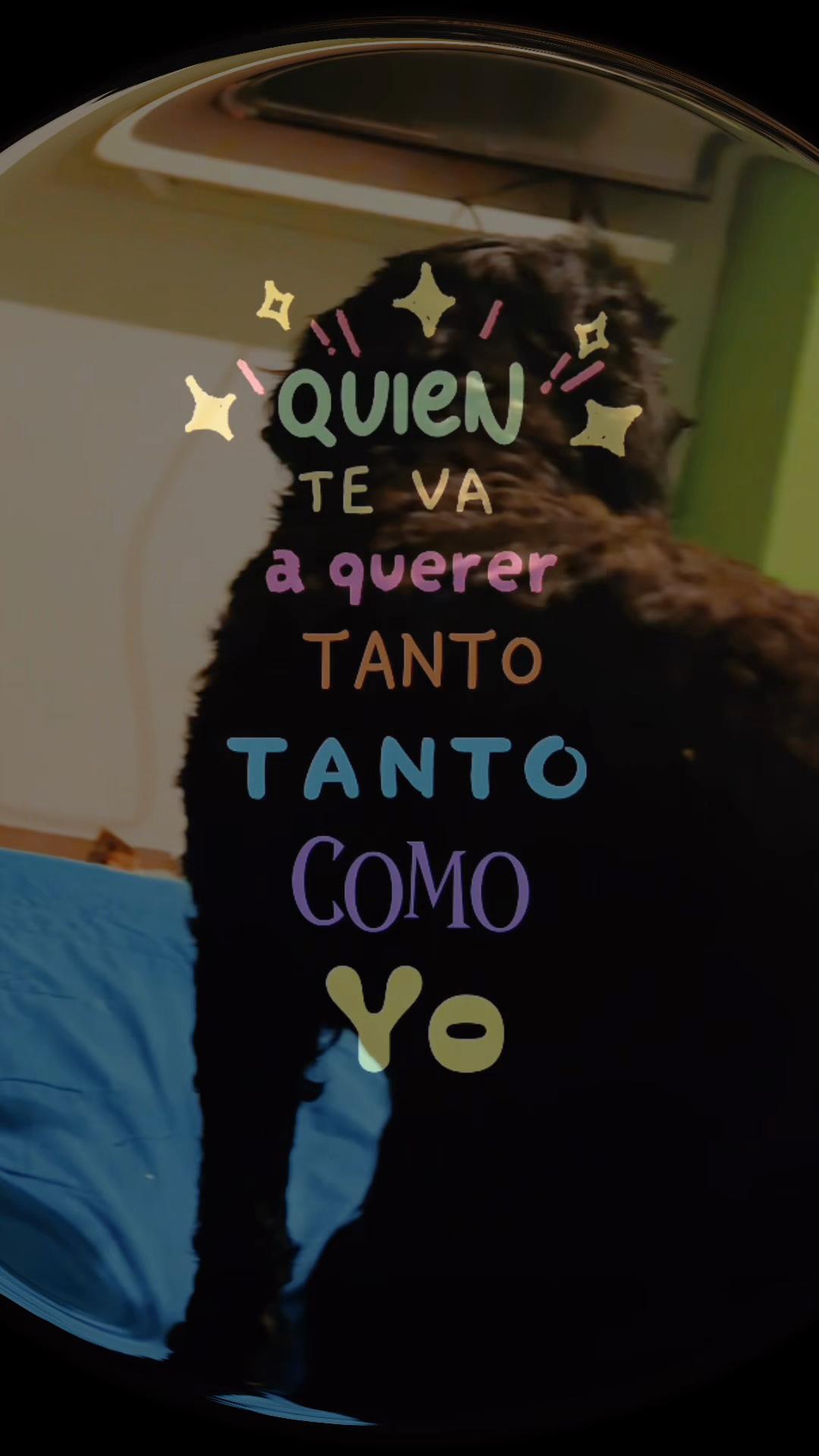 @MaricelaAvalosTovar