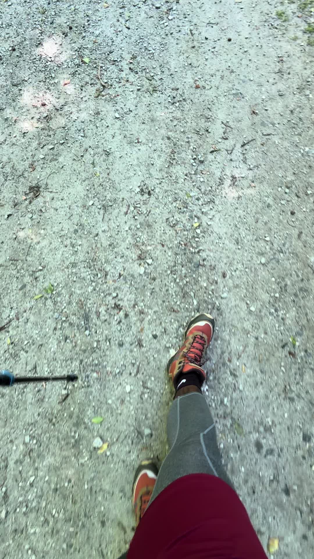 @bigsh0w