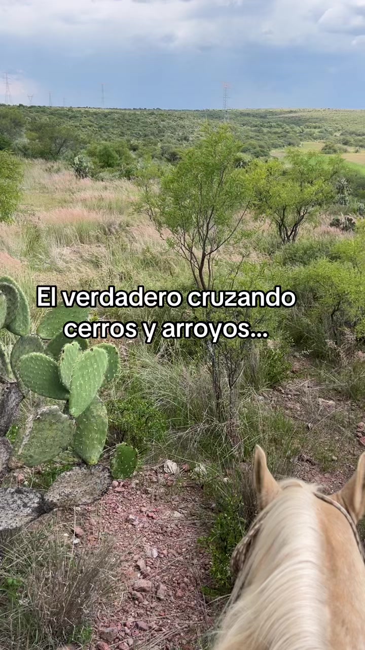@Cristian Almanza