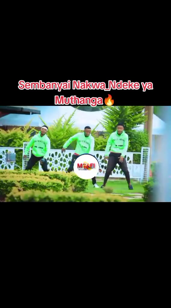 @MSAFI TV💫ONLINE