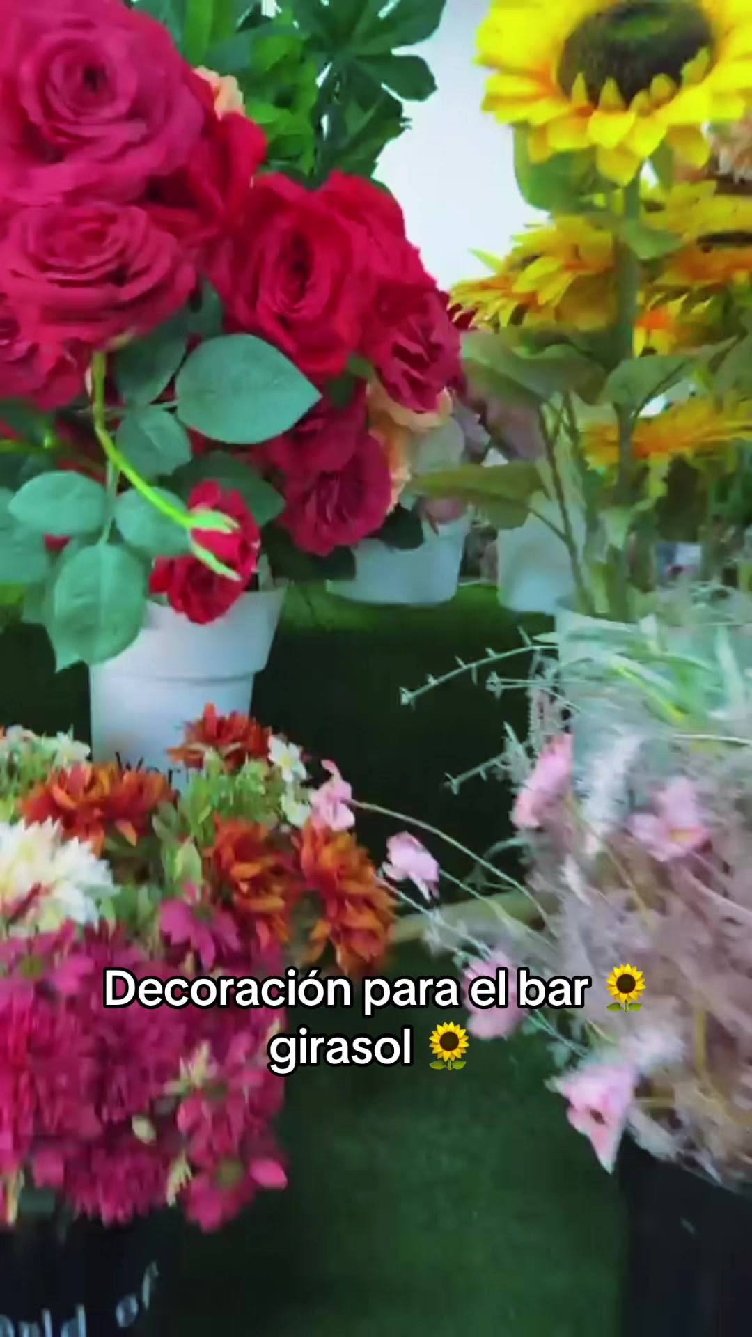 @Flor Salvaje