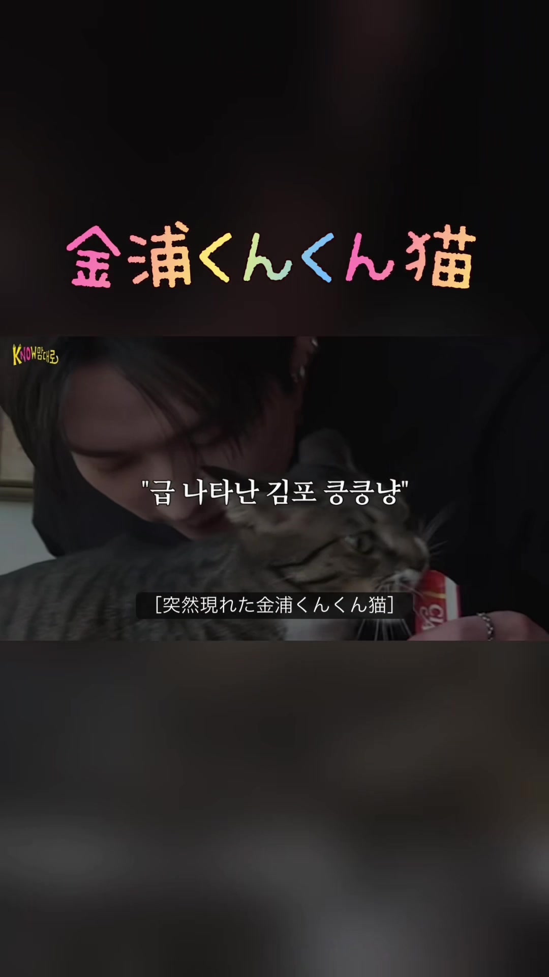 @芪åSTAY