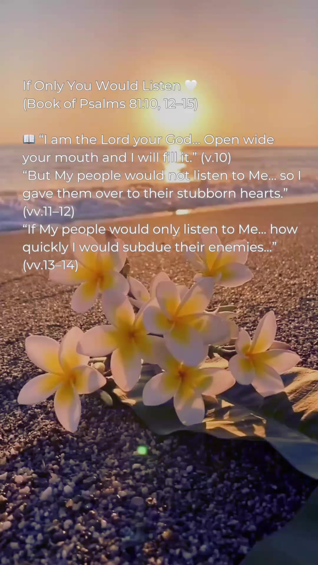 @daily.faith.reflection