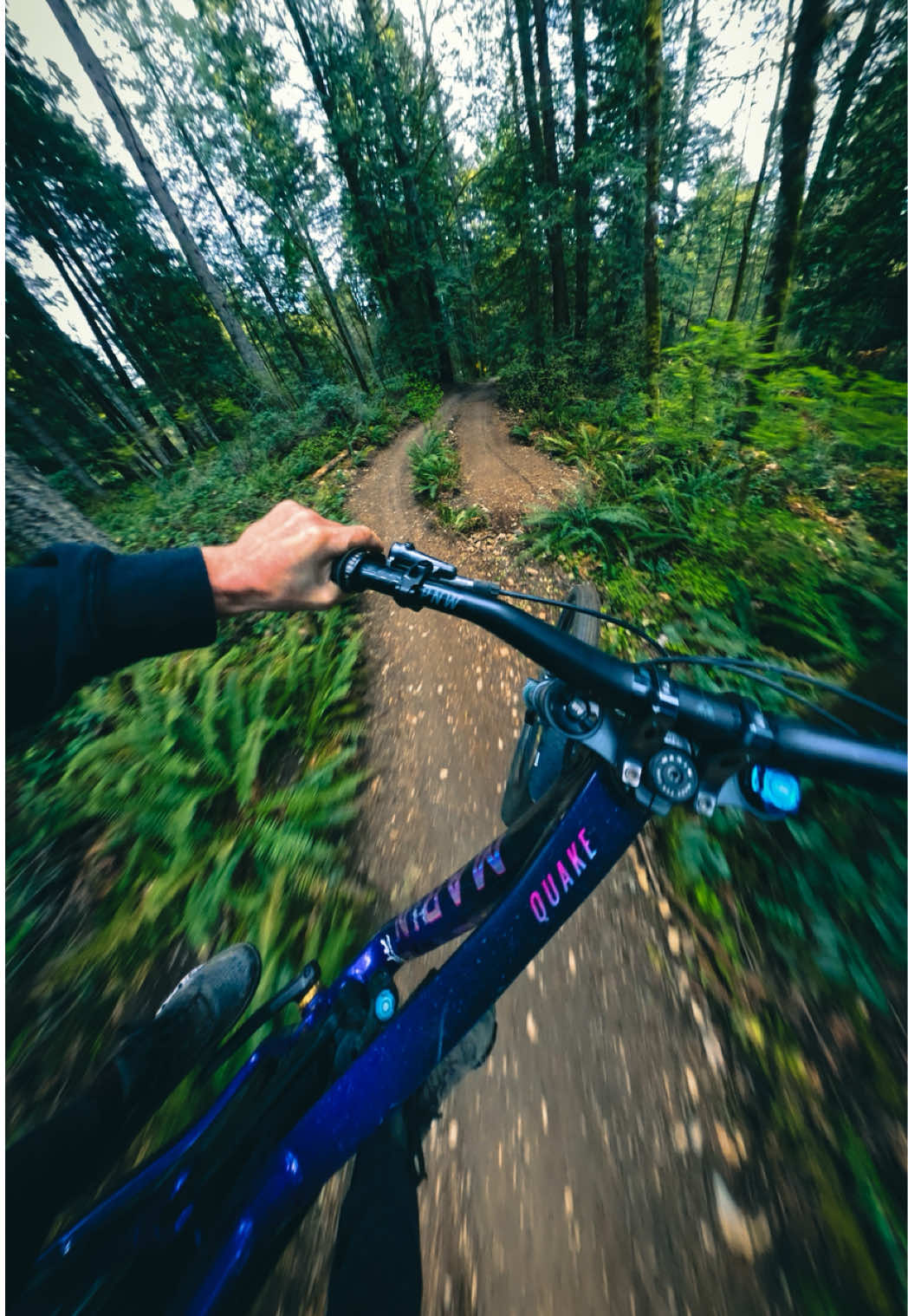 @Mark Matthews