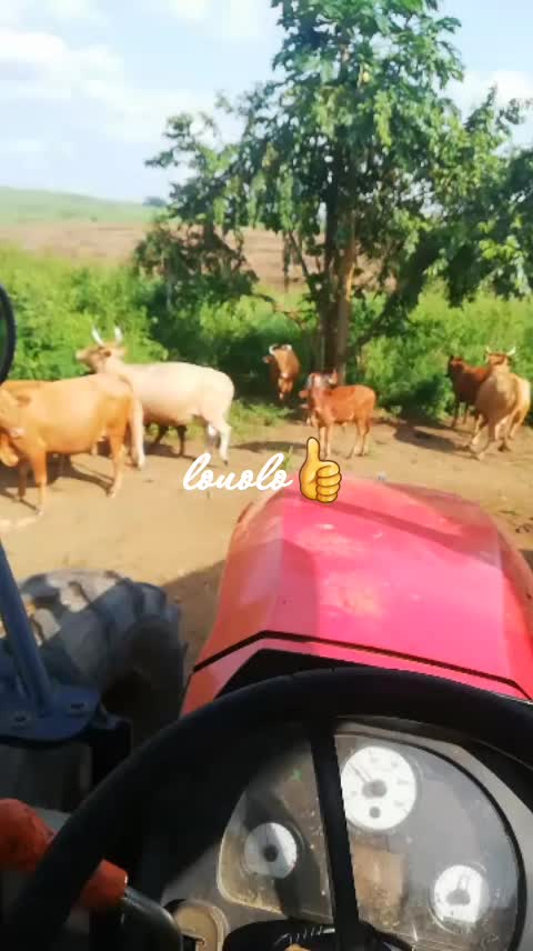 @Kartouma