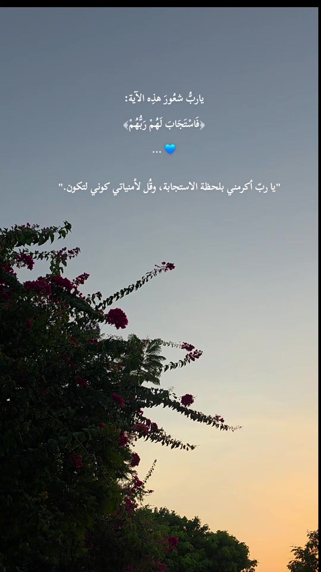 @لأَبْي ..🕊️رَوْحٌ ورَيْحان 🌿