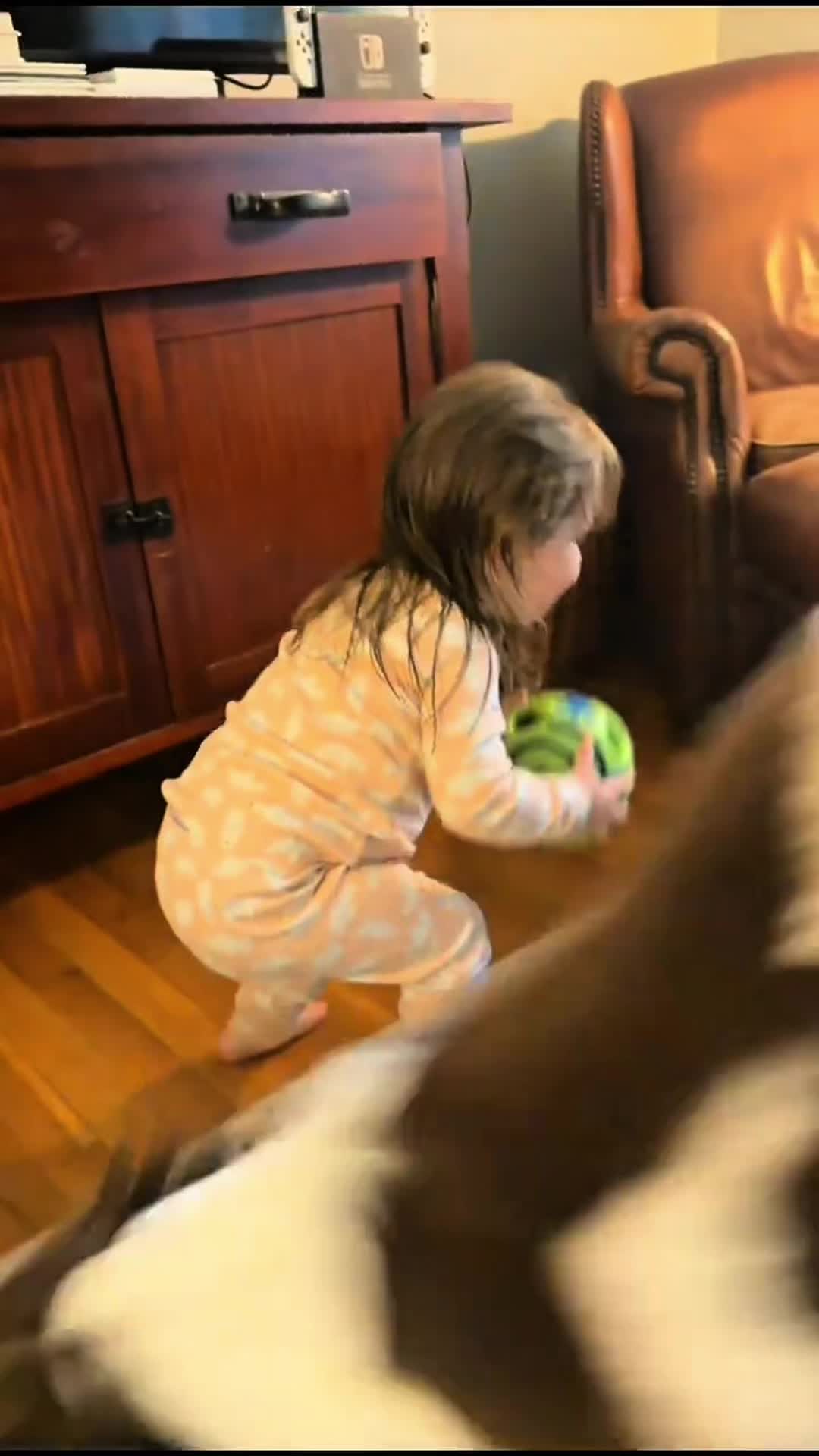 @funnyvideo3782
