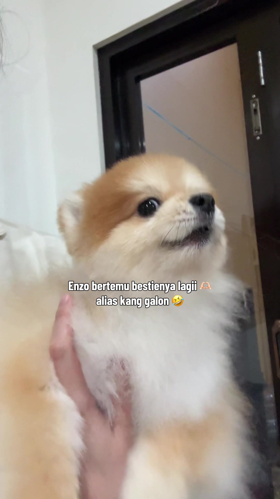 @Enzo