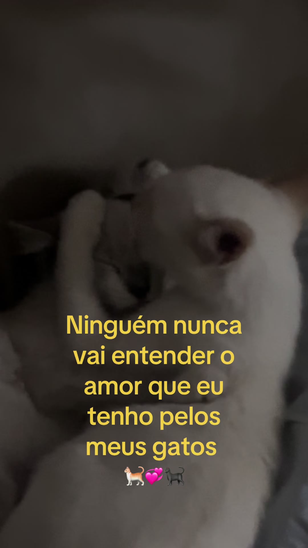 @Emide