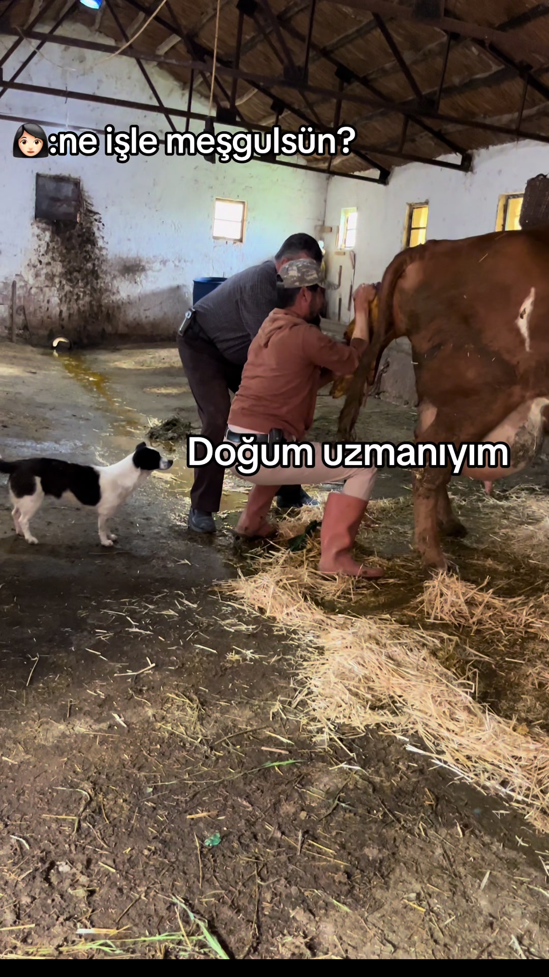 @İsmail
