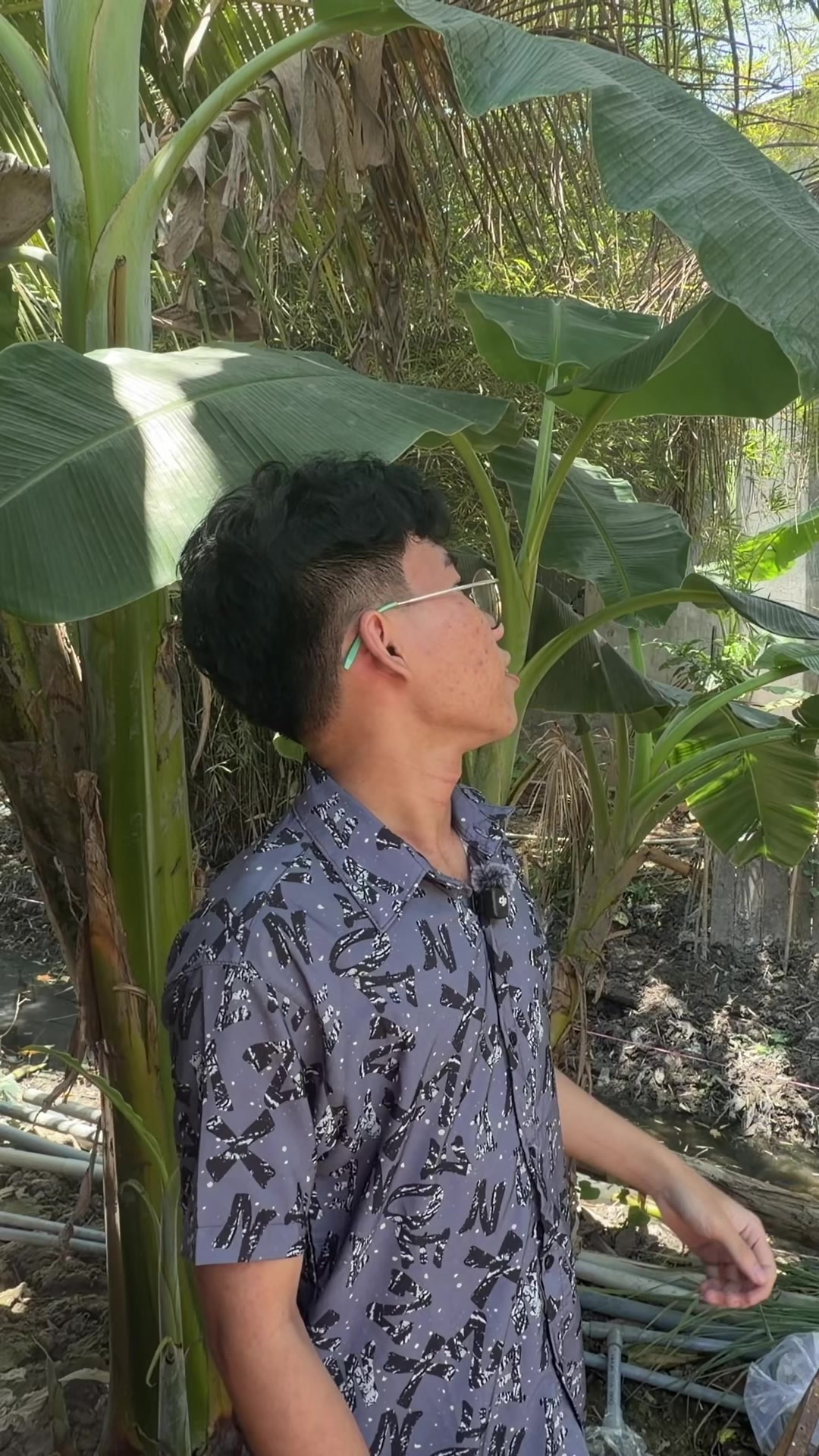 @Anh Đạt Trái Cây