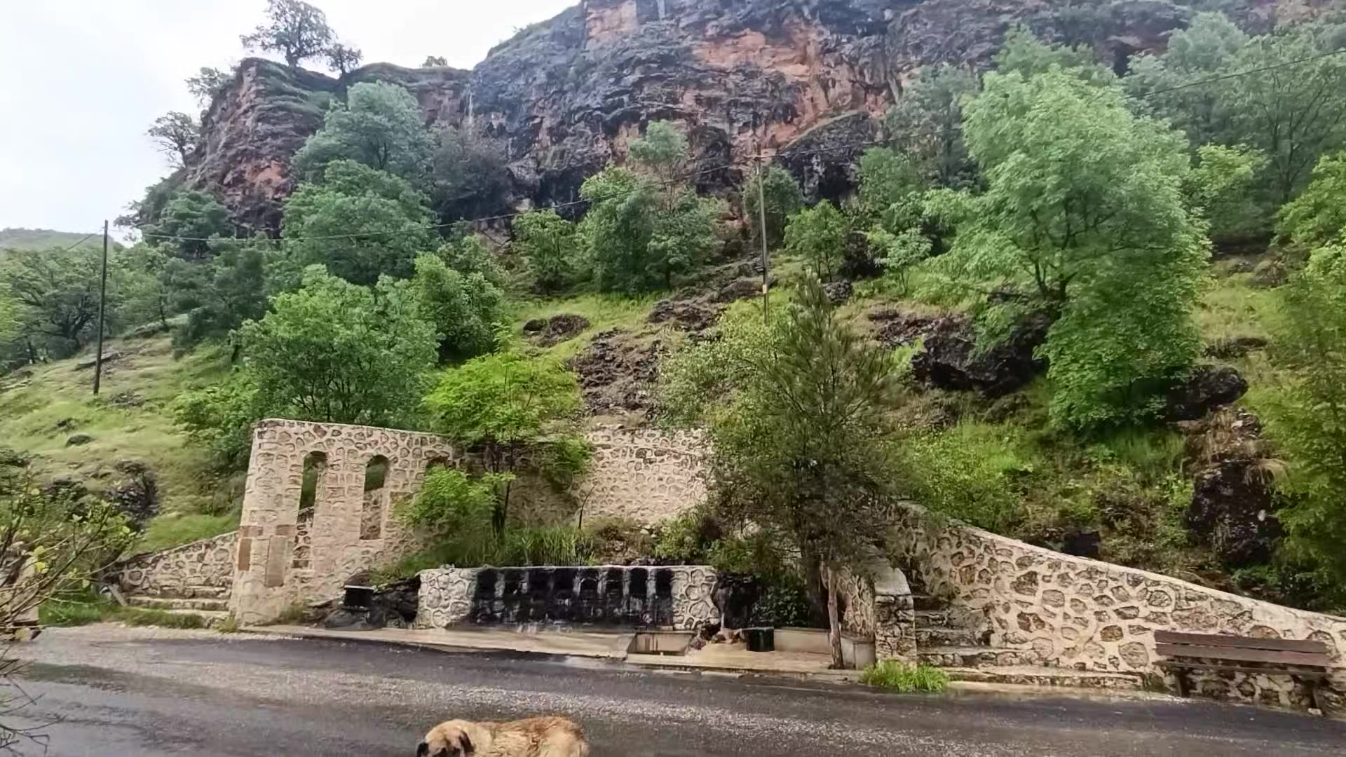 @muro62