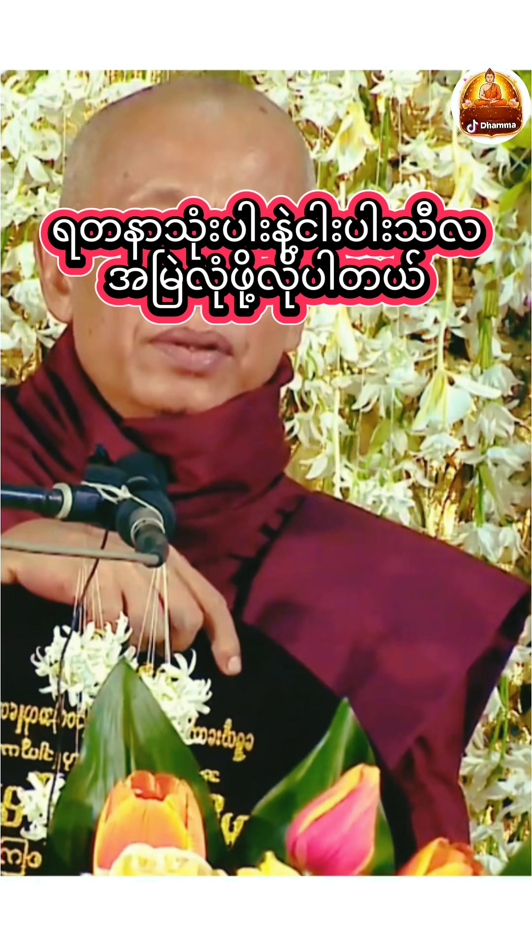@DHAMMA