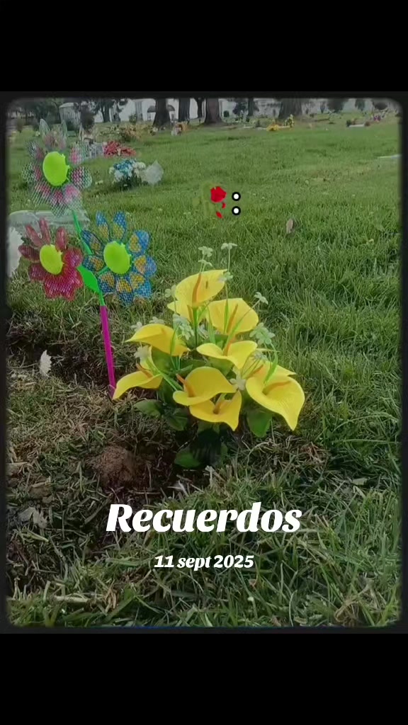 @Saraicita Yoga