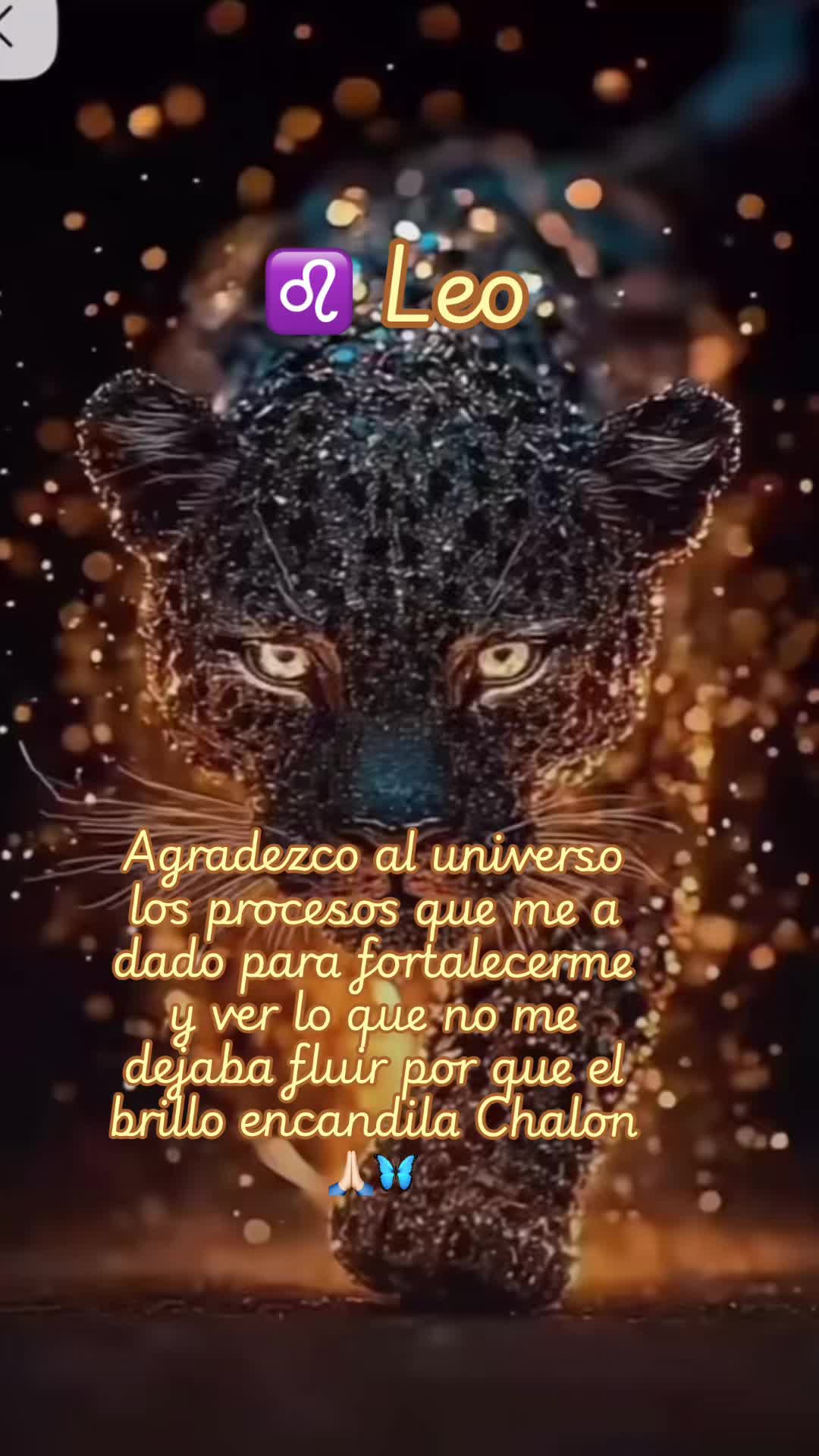 @La Dama de Hielo🧊