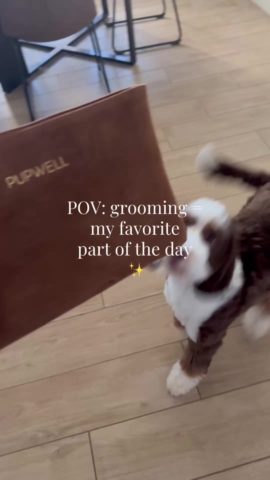 @Pupwell