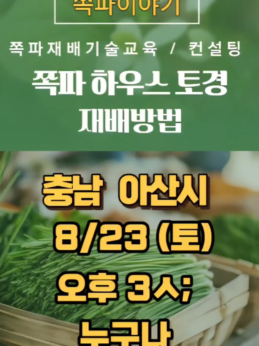 @나미제이