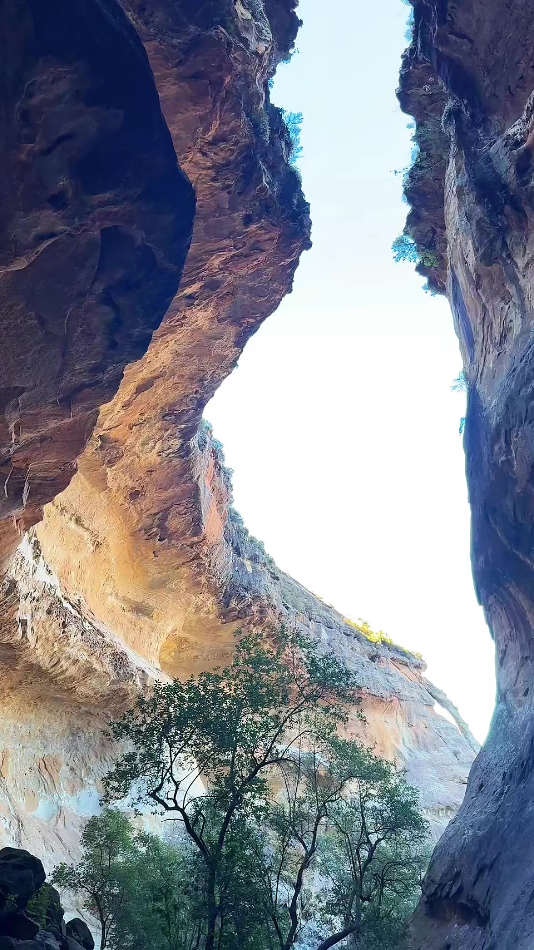 @Just_exploring
