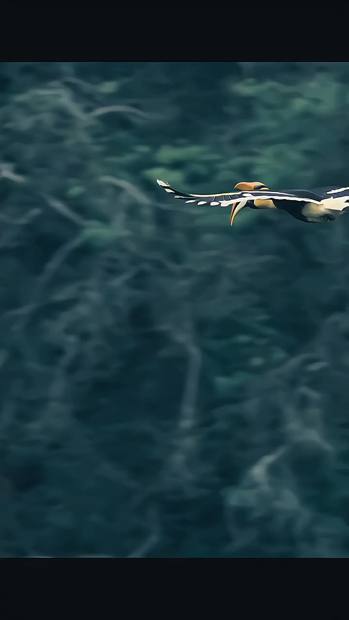 @𝙇𝙊𝙆𝘼𝙇 𝙋𝙍𝙄𝘿𝙀