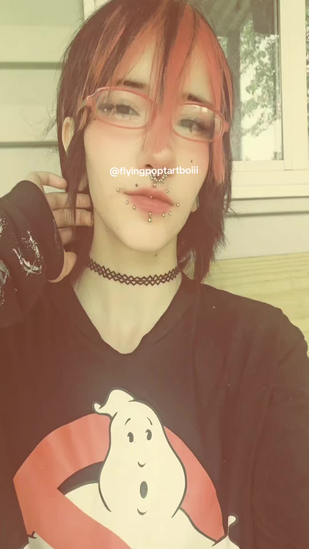 @poptart boi
