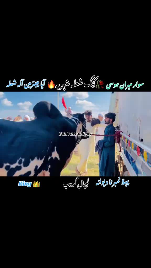 @mohaib