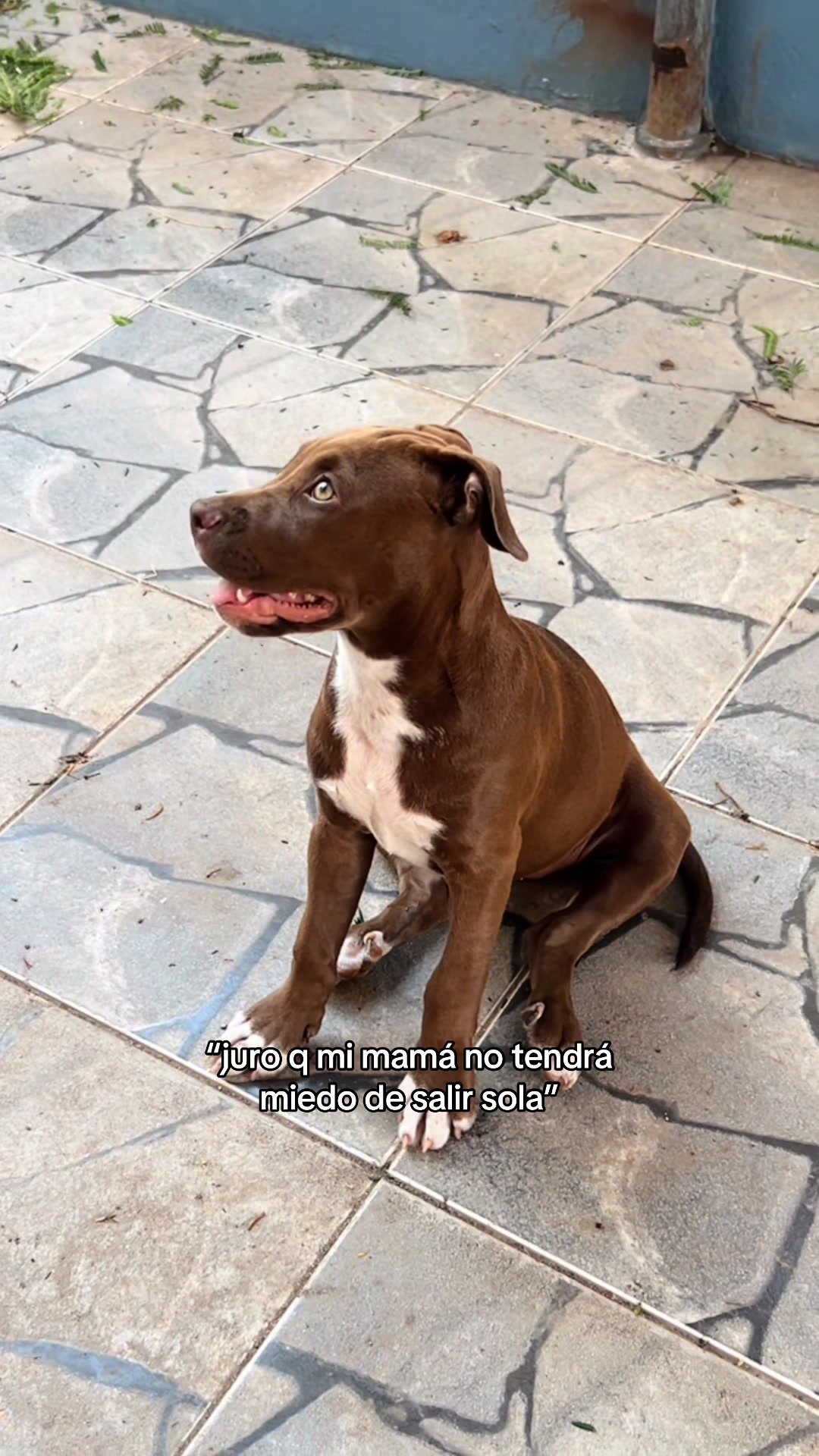 @juana