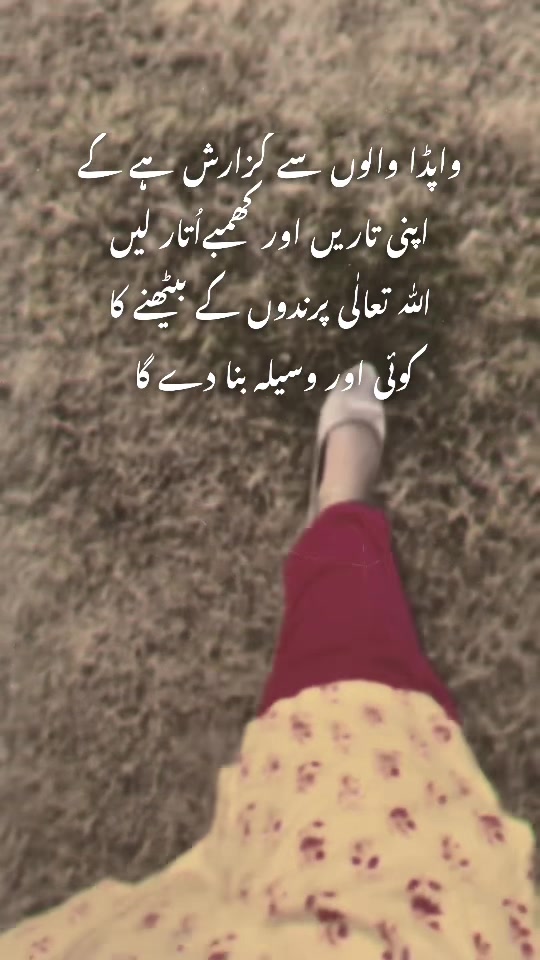 @ZH🎀🖇️