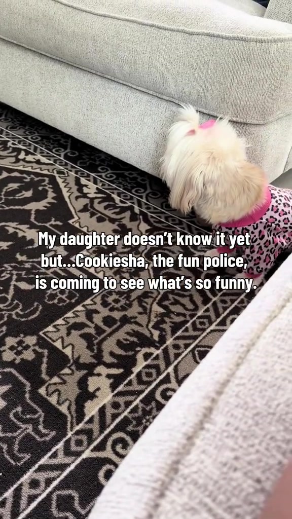 @nitaandcookiesha