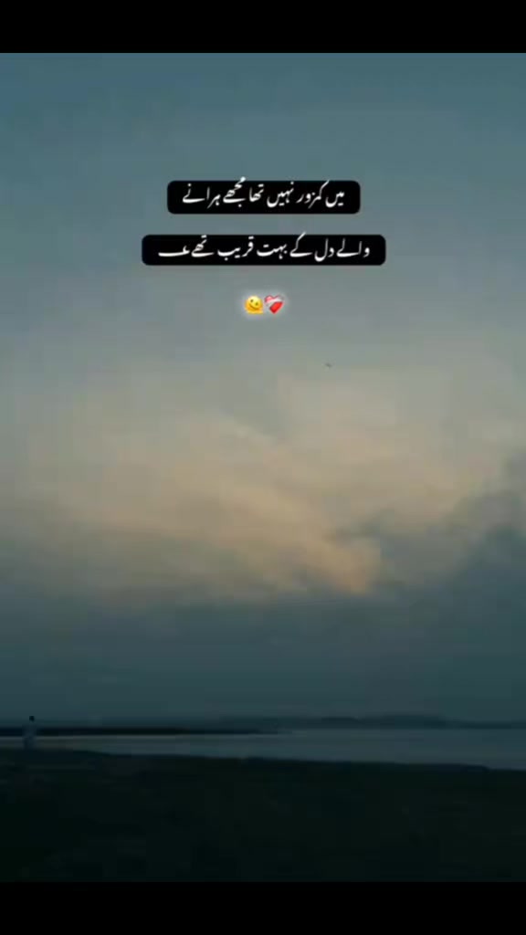 @༆𝓓𝓲𝓵𝓵 𝓭𝓪 𝓳𝓪𝓷𝓲 ✨