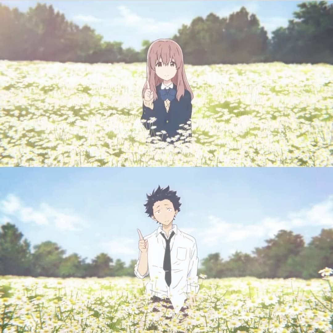 @⟡﹕ ᧉƖɩ̇sɦ⍺ ﹒︴ ✿