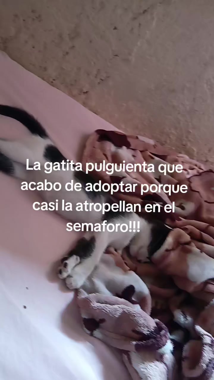 @Tequilaconclonas