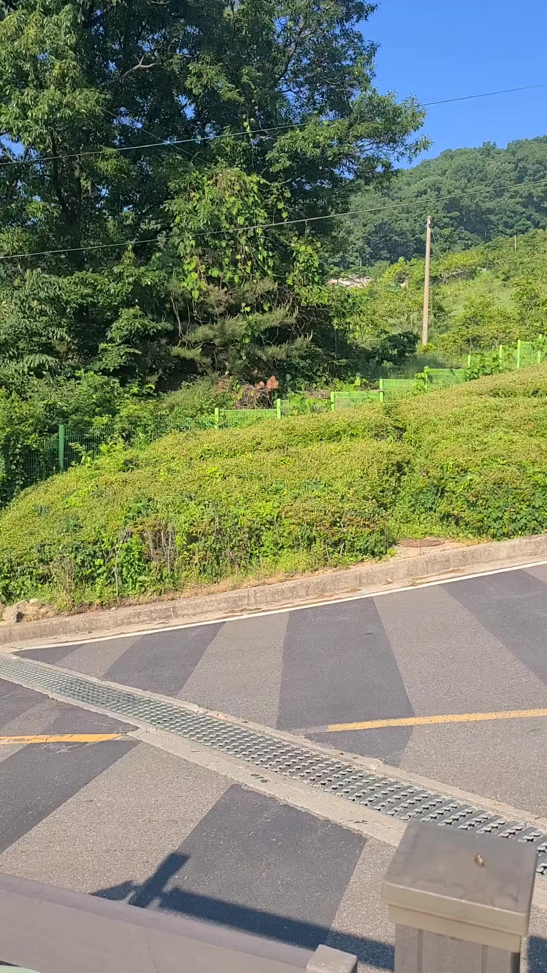 @bishnupaudel🇰🇷🇳🇵