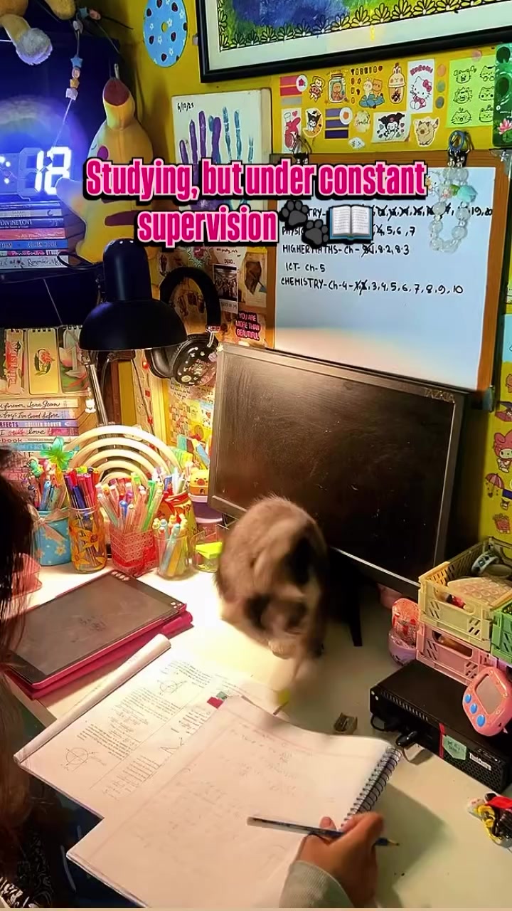 @ABCDEFGHIJKLMNOPQRSTUVWXYZ🕷️