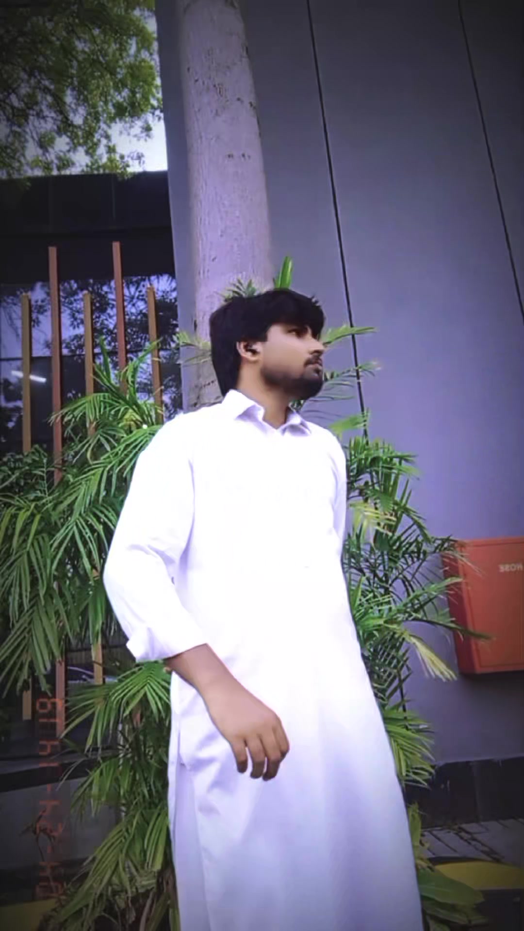 @Mehar Arshad