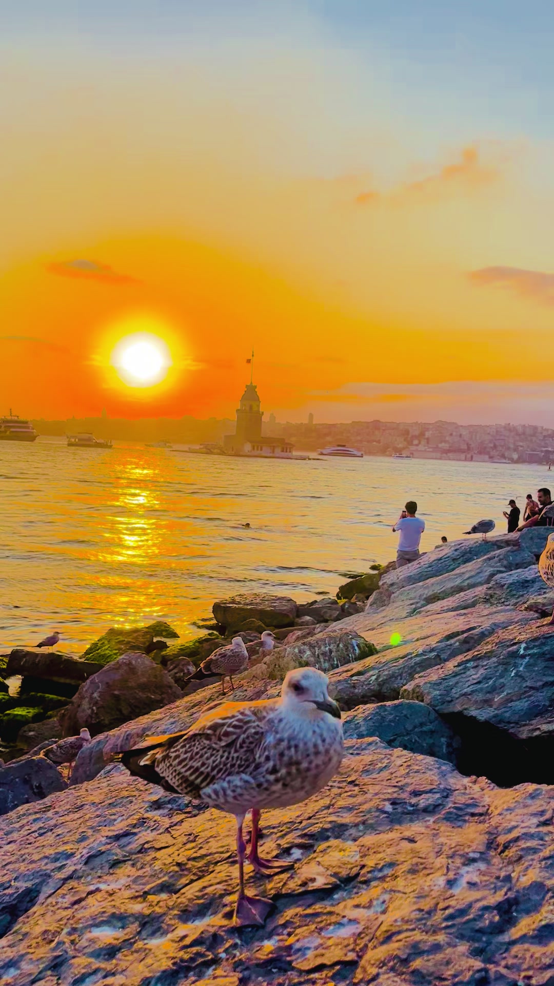 @𝐼̇𝐵𝒪𝒮̧ 𝒦𝒜𝑅𝒜𝒜𝒮𝐿𝒜𝒩