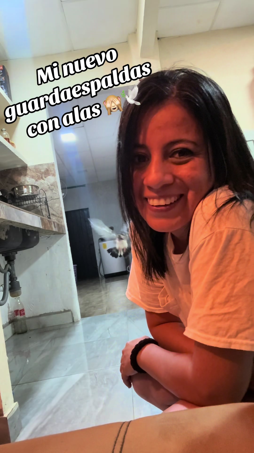 @Neicyleon