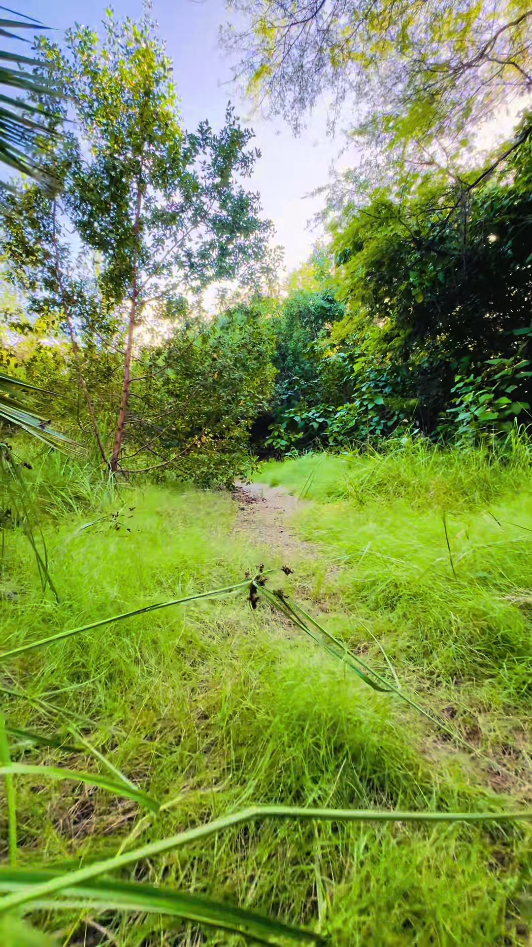 @Aruba random hikes