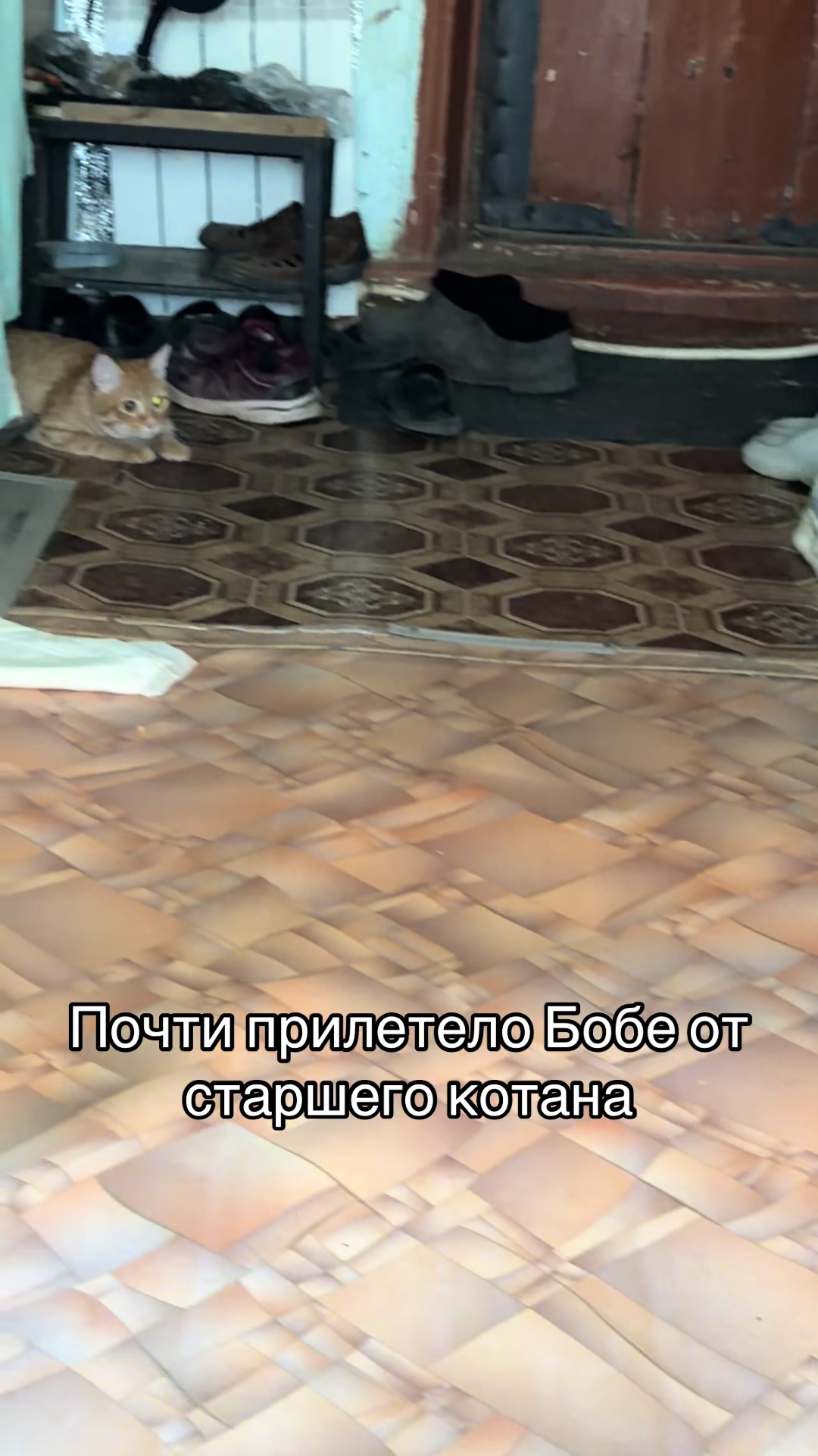 @кастрюля