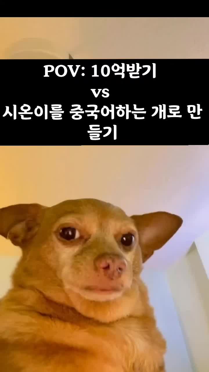 @카메라민